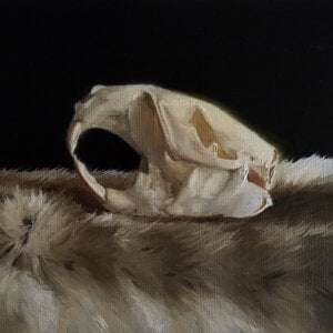 Tori Cole [JR RA 2021] : Study of beaver skull, 2019.