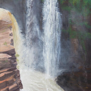 Mitchell Saler, Roaring waterfalls