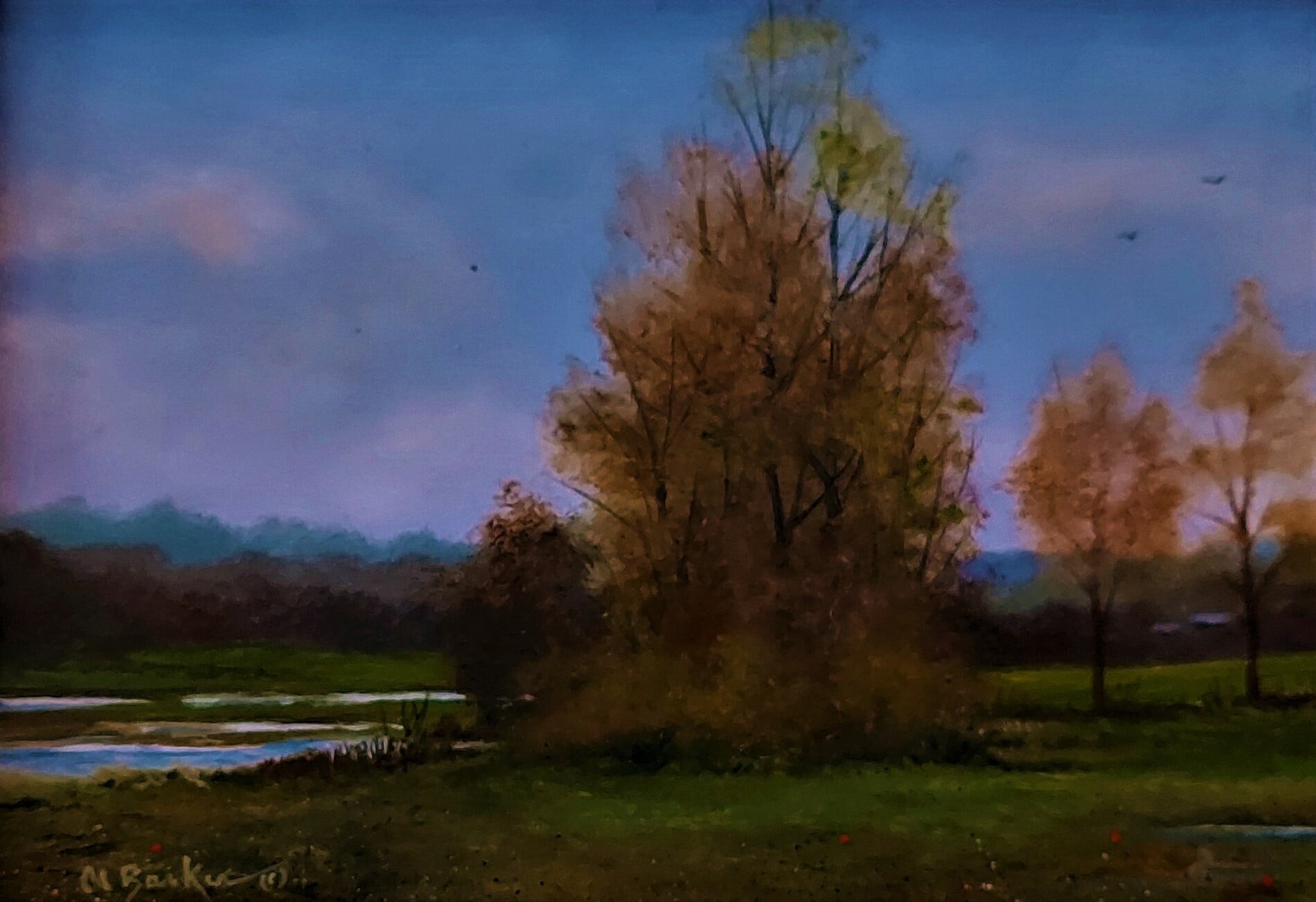 Albert barker em 1973 backwater 2022 salmagundi