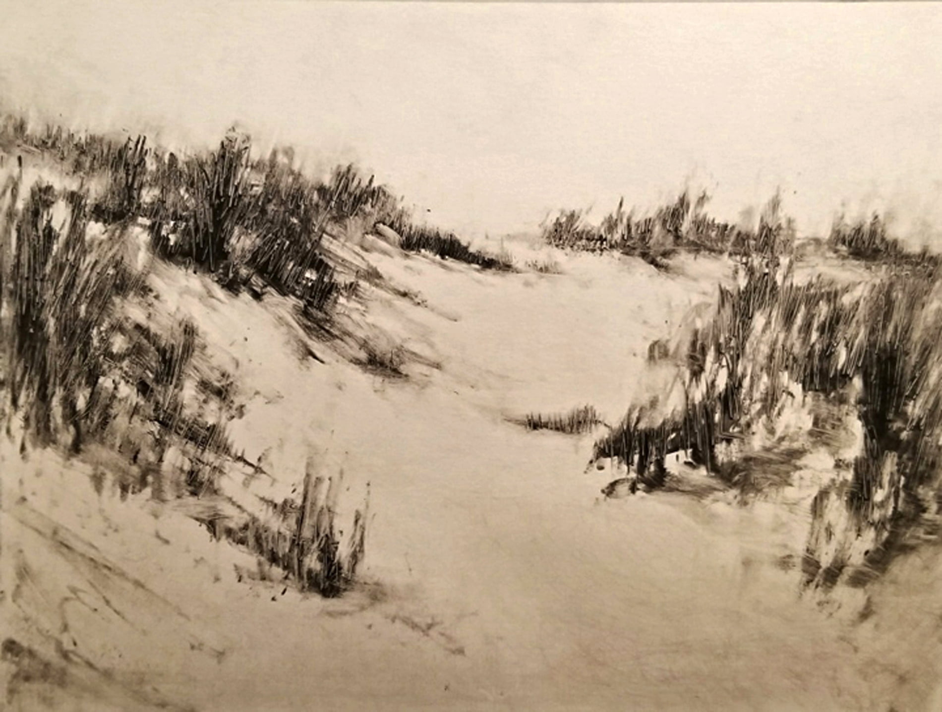 Julie Hopkins NRA 2009 Long Cove Dunegrass 2022 Salmagundi julie-hopkins-nra-2009-long-cove-dunegrass-2022-salmagundi