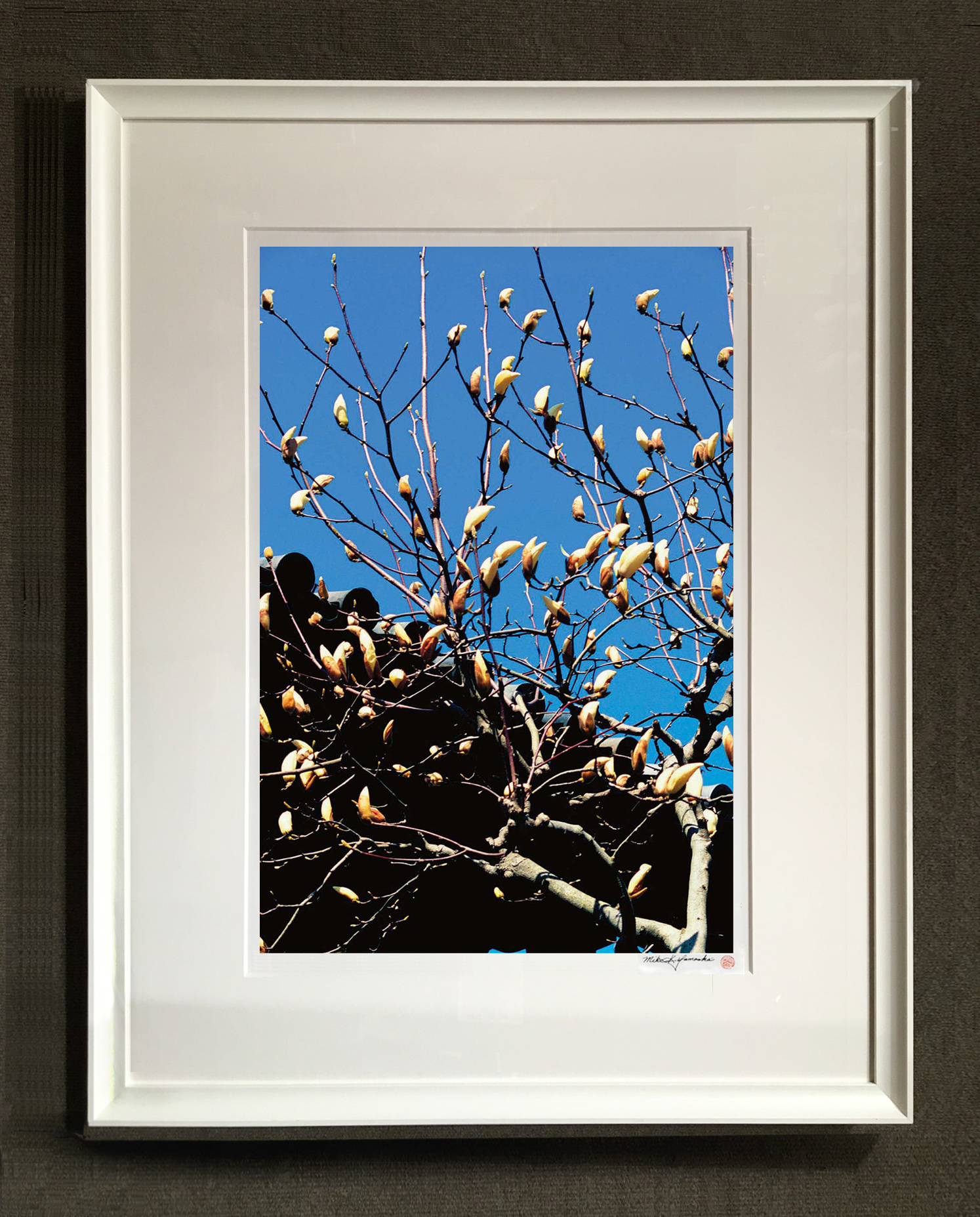 "Magnolia buds at Seta Castle" in white frame with indentations at the inner and outer edges.