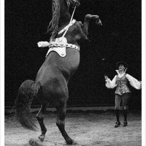 A horse being directed by a woman in garb similar to what a sixteenth century is depicted as wearing stands tall on its hind legs.