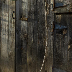 A wooden door to a shed with a twisted stick leaning against it.