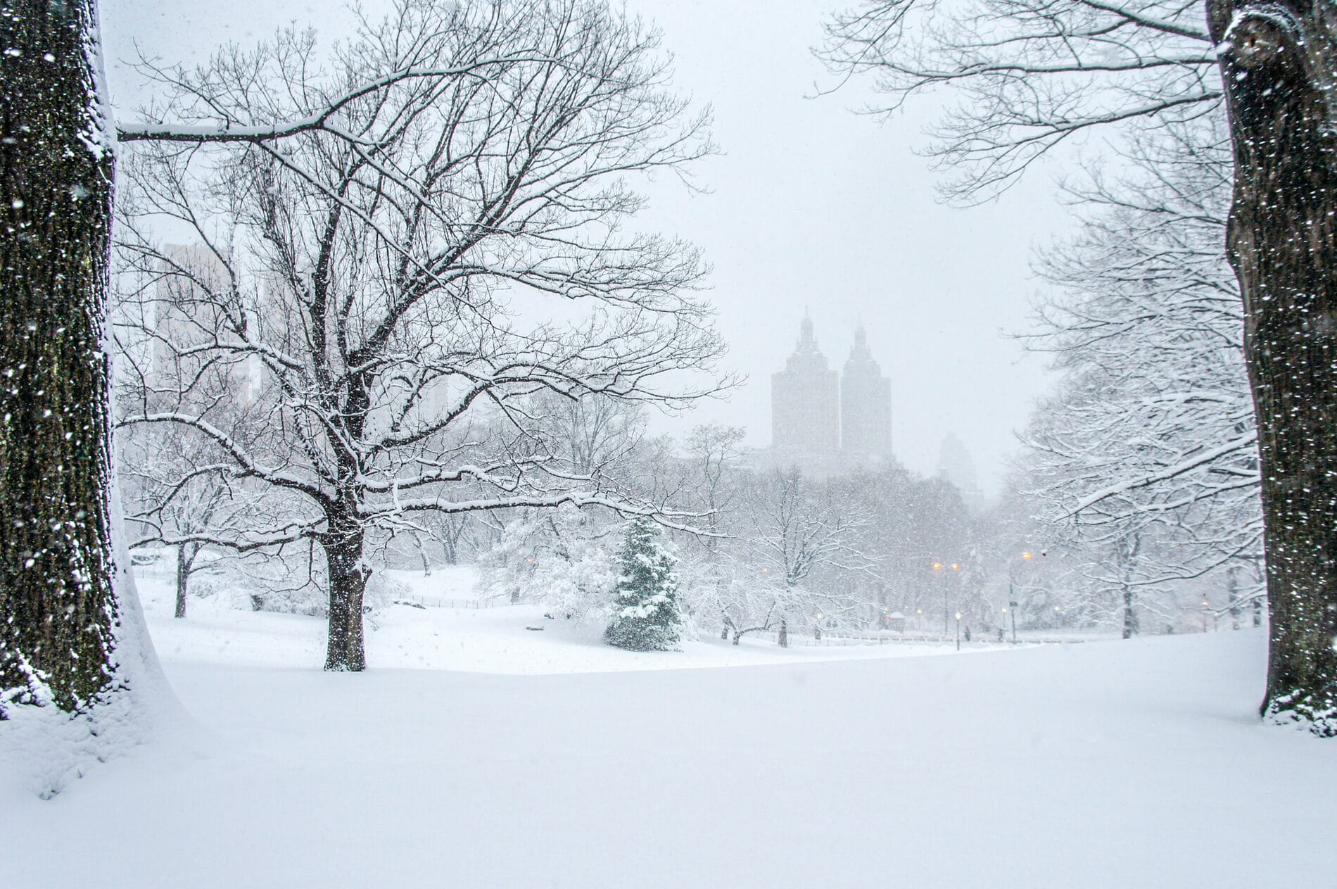Neil Allen [RA 2016] : Central Park Winter Reverie | Salmagundi Club
