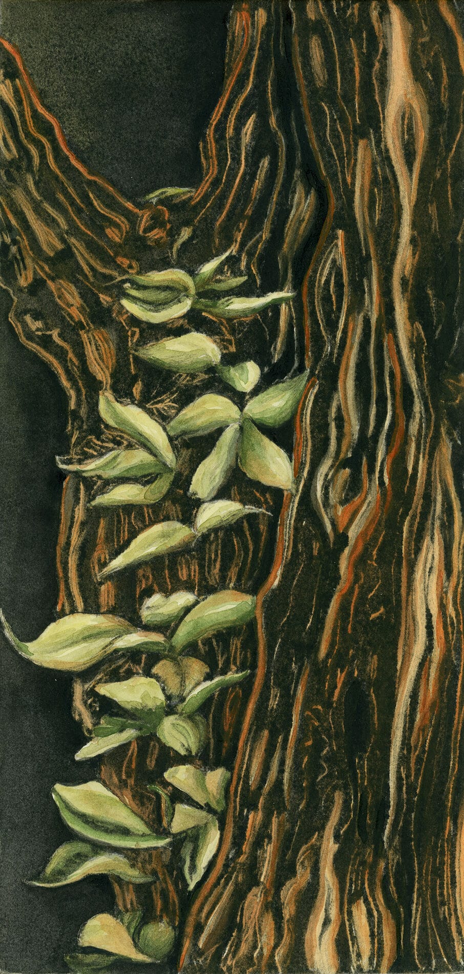 Basia Tov [NM] : Tree with Ivy 2 | Salmagundi Club